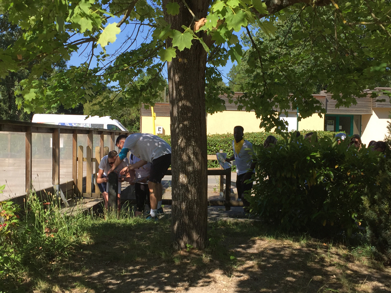 Buthiers course d orientation 1