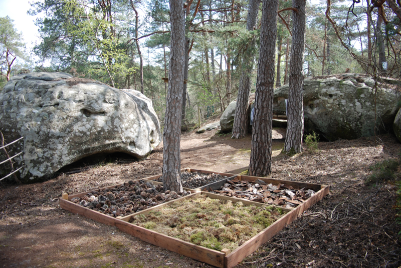 Buthiers parcours pieds nus 1