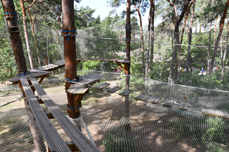 Buthiers spider filet 1