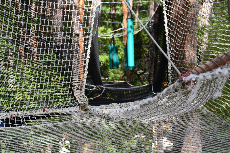 Buthiers spider filet 2