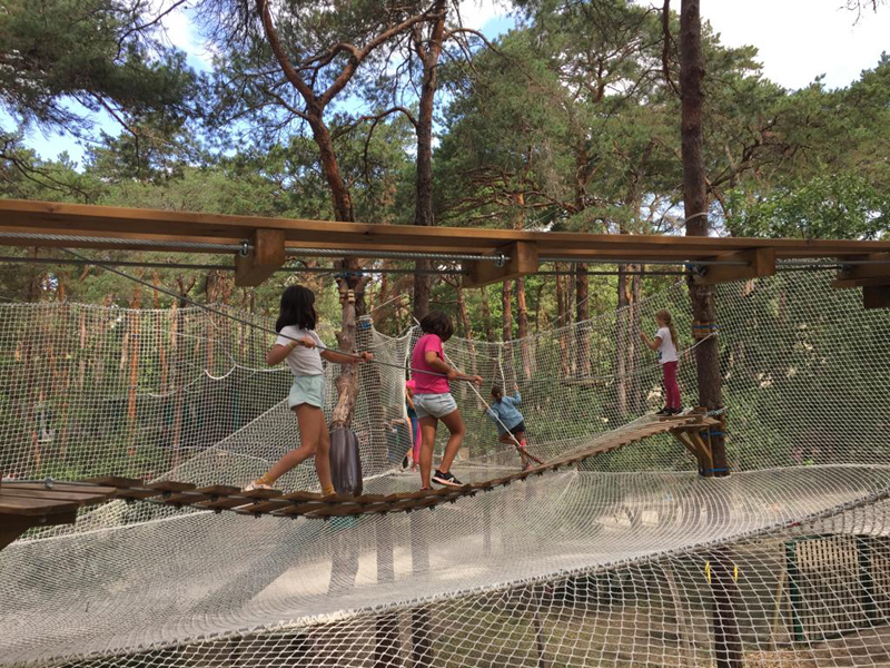 Buthiers spider filet 6