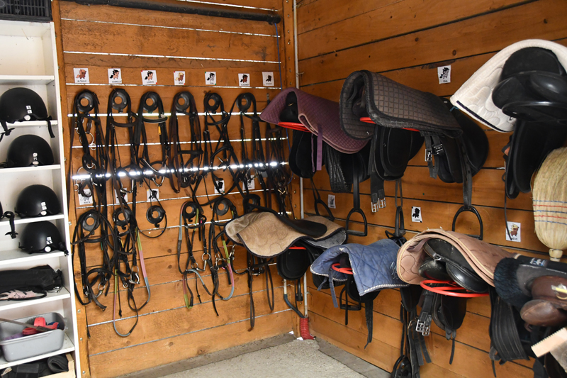 CLUB Buthiers poney 2